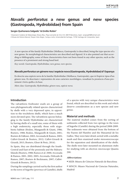 Navalis Perforatus a New Genus and New Species (Gastropoda, Hydrobiidae) from Spain