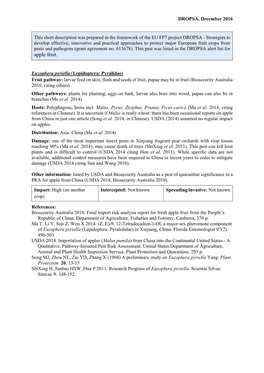 Mini Data Sheet on Euzophera Pyriella