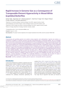 Rapid Increase in Genome Size As a Consequence of Transposable Element Hyperactivity in Wood-White (Leptidea) Butterflies