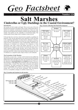 Geofile Salt Marshes