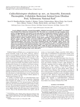 Caldicellulosiruptor Obsidiansis Sp. Nov., an Anaerobic, Extremely