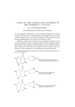 A Note on the Anthocyanin Pigments of the Primrose <Emphasis Type