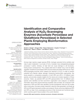 Ascorbate Peroxidase and Glutathione Peroxidase) in Selected Plants Employing Bioinformatics