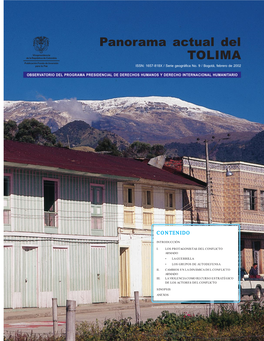 Panorama Actual Del Tolima
