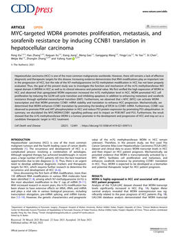 MYC-Targeted WDR4 Promotes Proliferation, Metastasis, and Sorafenib Resistance by Inducing CCNB1 Translation in Hepatocellular Carcinoma