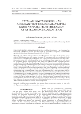 Attelabus Nitens (Scop.) – an Abundant but Biologically Little Known Species from the Family of Attelabidae (Coleoptera)