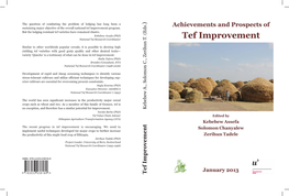 Achievements and Prospects of Tef Improvement