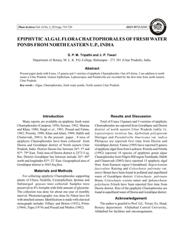 Epiphytic Algal Flora Chaetophorales of Fresh Water Ponds from North Eastern U.P., India