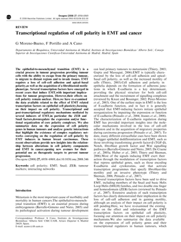 Transcriptional Regulation of Cell Polarity in EMT and Cancer