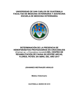 Universidad De San Carlos De Guatemala Facultad De Medicina Veterinaria Y Zootecnia Escuela De Medicina Veterinaria