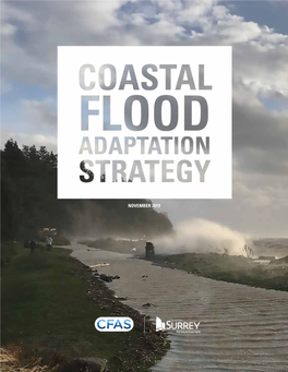 Coastal Flood Adaptation Strategy Final Report November 2019