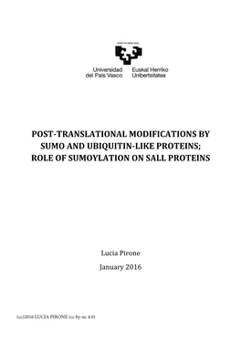 Post-Translational Modifications by Sumo and Ubiquitin-Like Proteins; Role of Sumoylation on Sall Proteins