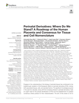 A Roadmap of the Human Placenta and Consensus for Tissue and Cell