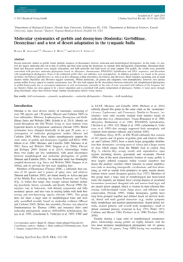 Molecular Systematics of Gerbils and Deomyines (Rodentia: Gerbillinae, Deomyinae) and a Test of Desert Adaptation in the Tympanic Bulla