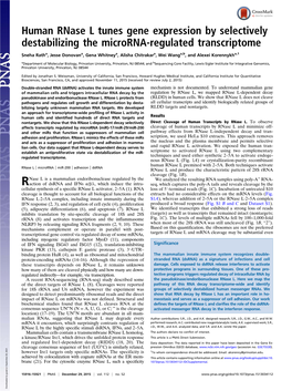 Human Rnase L Tunes Gene Expression by Selectively Destabilizing the Microrna-Regulated Transcriptome