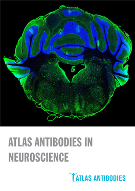 ATLAS ANTIBODIES in NEUROSCIENCE Front Cover: Page 2 (24) IHC-IF Staining in Mouse Brain Using Anti-USP20 (HPA007008) TABLE of CONTENTS