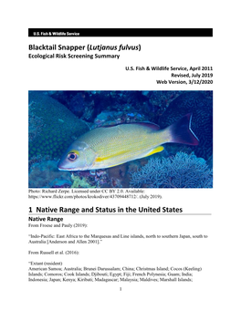 Blacktail Snapper (Lutjanus Fulvus) ERSS