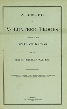 Volunteer Troops