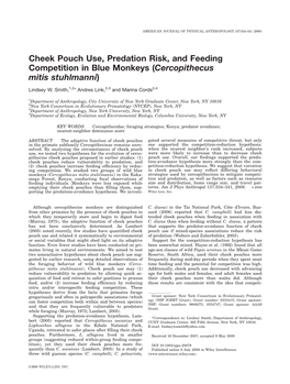 Cheek Pouch Use, Predation Risk, and Feeding Competition in Blue Monkeys (Cercopithecus Mitis Stuhlmanni)