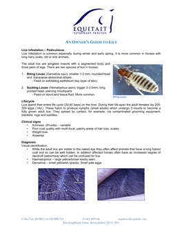 Equitait Lice Facsheet