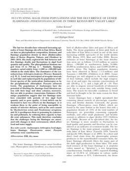 Fluctuating Algal Food Populations and the Occurrence of Lesser Flamingos (Phoeniconaias Minor) in Three Kenyan Rift Valley Lakes1