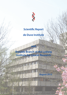 Annual Report DDUV 2013
