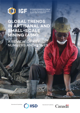 IGF Global Trends in Artisanal and Small-Scale Mining (ASM)