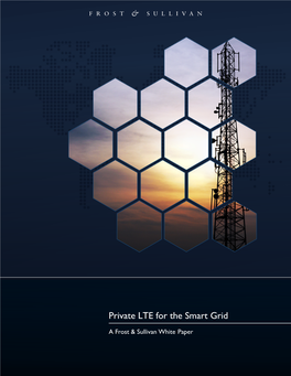 Private LTE for the Smart Grid
