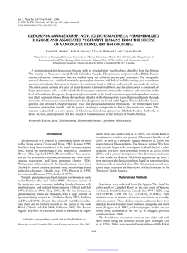 Gleicheniaceae): a Permineralized Rhizome and Associated Vegetative Remains from the Eocene of Vancouver Island, British Columbia