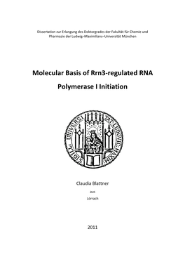 Molecular Basis of Rrn3-Regulated RNA Polymerase I Initiation