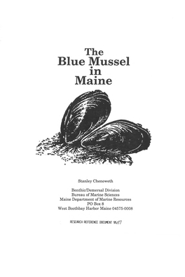 The Blue Mussel in Maine