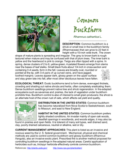 Common Buckthorn Is a Shrub Or Small Tree in the Buckthorn Family (Rhamnaceae) That Can Grow to 22 Feet in Height with a 10-Inch Wide Trunk