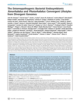 The Entomopathogenic Bacterial Endosymbionts Xenorhabdus and Photorhabdus: Convergent Lifestyles from Divergent Genomes