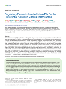 Regulatory Elements Inserted Into Aavs Confer Preferential Activity in Cortical Interneurons