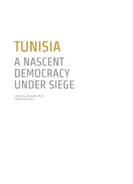 Tunisia: a Nascent Democracy Under Siege