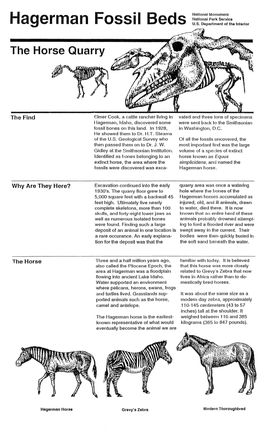 Hagerman Fossil Beds National Monument 221 North State Street P.O
