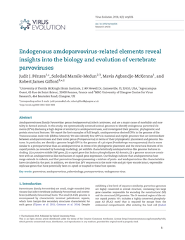 Endogenous Amdoparvovirus-Related Elements Reveal Insights Into the Biology and Evolution of Vertebrate Parvoviruses Judit J