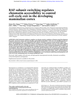 BAF Subunit Switching Regulates Chromatin Accessibility to Control Cell Cycle Exit in the Developing Mammalian Cortex