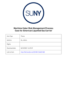 Maritime Cyber Risk Management Process: Case for American Liquefied Gas Carrier