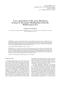 A New Squat Lobster of the Genus Munidopsis (Crustacea: Decapoda: Munidopsidae) from the Mediterranean Sea