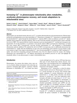 Increasing Ca2+ in Photoreceptor Mitochondria Alters Metabolites, Accelerates Photoresponse Recovery, and Reveals Adaptations to Mitochondrial Stress