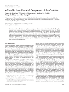 Tubulin Is an Essential Component of the Centriole Susan K