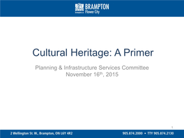 Cultural Heritage: a Primer