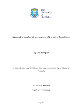 A Geometric Morphometric Assessment of the Foot of Oreopithecus