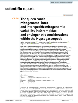 The Queen Conch Mitogenome