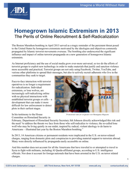 Homegrown Islamic Extremism in 2013: the Perils of Online