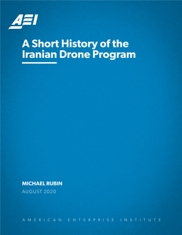 A Short History of the Iranian Drone Program