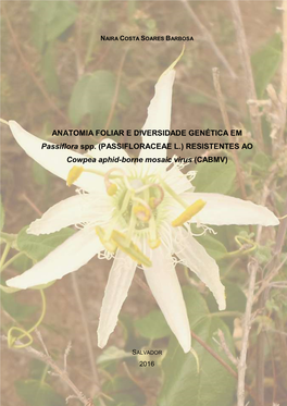 Anatomia Foliar E Diversidade Genética (Dissertação) 2016.Pdf