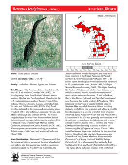 Botaurus Lentiginosus (Rackett) Americanamerican Bittern Bittern, Page 1