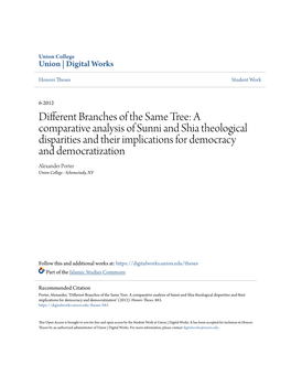 A Comparative Analysis of Sunni and Shia Theological Disparities